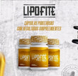 Lipofite Pro - Max – Natural Weight Loss Support & Wellbeing - IDY V. FIT NATURALS