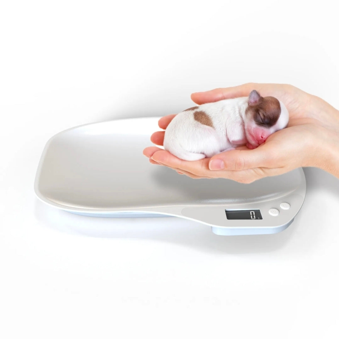 Digital Pet Scale for Puppies & Small Pets – 15kg LCD Weight Scale White