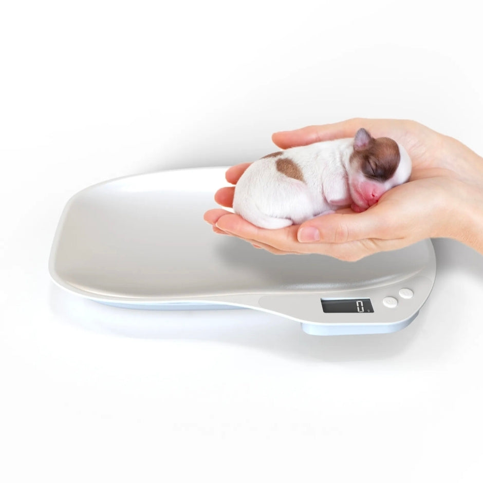 Digital Pet Scale for Puppies & Small Pets – 15kg LCD Weight Scale White